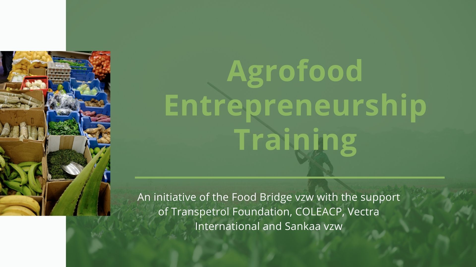 Banner Agrofood Training